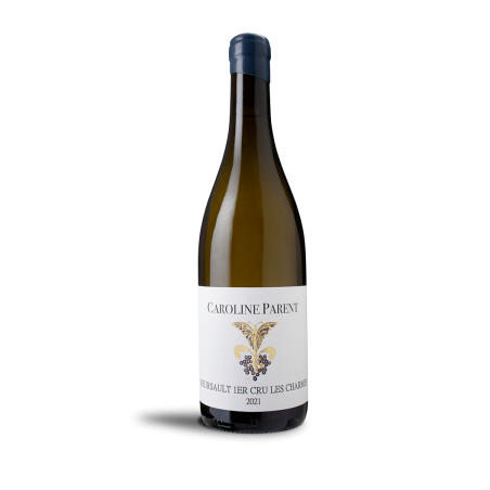 copy of Bourgogne Chardonnay 2019