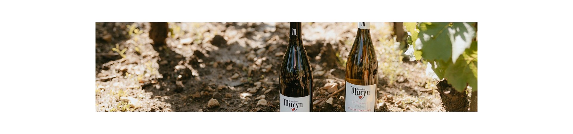 Vins autres régions
