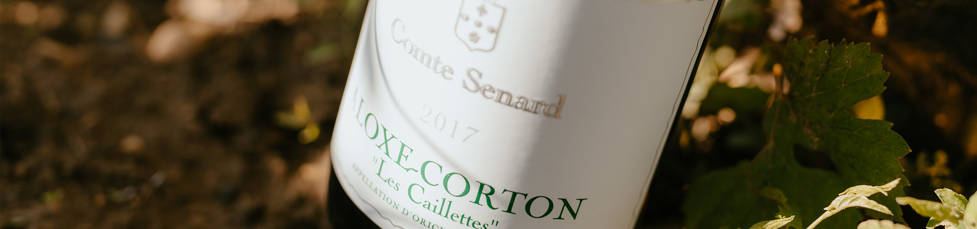 Domaine Comte Senard – Maison Benoit Chapelle