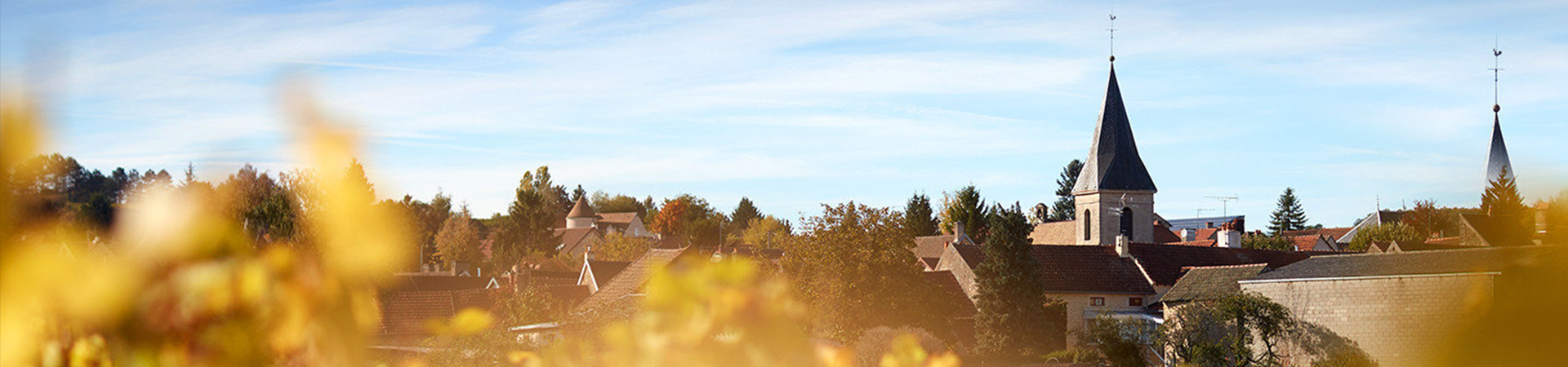 Domaine Hoffmann-Jayer – Maison Benoit Chapelle